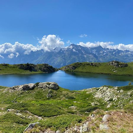 Chalet La Perle De L'Oisans - Appartements D'Exception 보자니 외부 사진